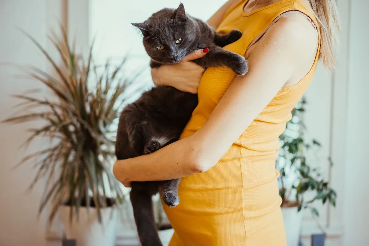 Kehamilan: Anda harus tahu bahawa tentang toxoplasmosis!